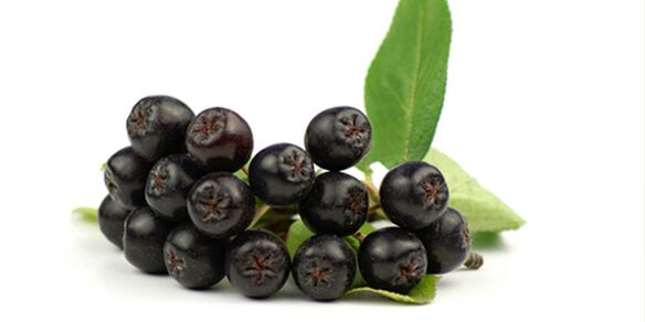Plody čierneho horského popola užitočné pri cukrovke